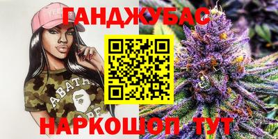 стаф Ставрополь