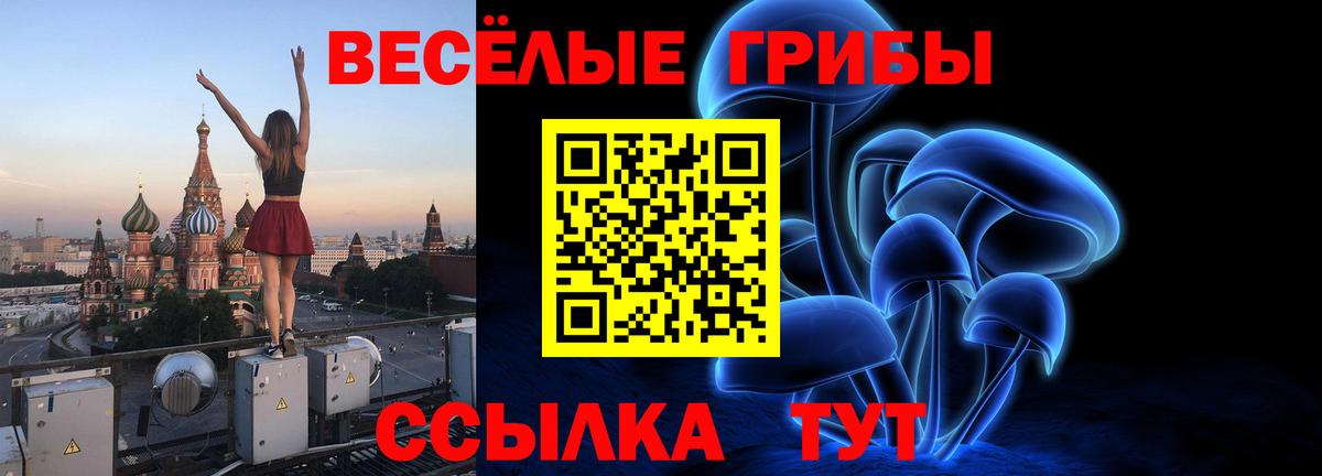 Галлюциногенные грибы Magic Shrooms Кунгур