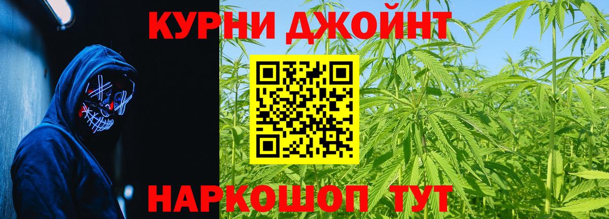 Канабис план  Вход с VPN  Кунгур  Конопля SATIVA & INDICA 